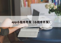 app小程序开发（小程序开发）