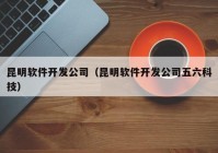 昆明软件开发公司（昆明软件开发公司五六科技）