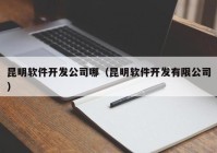 昆明软件开发公司哪（昆明软件开发有限公司）