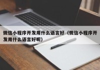 微信小程序开发用什么语言好（微信小程序开发用什么语言好呢）