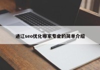 通辽seo优化哪家专业的简单介绍