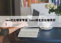 seo优化哪家专业（seo排名优化哪家好）